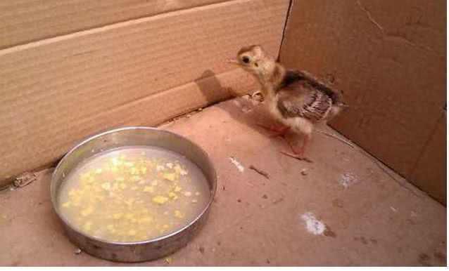 20cd262b543abecf5dfc313a4ca14e35.jpg 20cd262b543abecf5dfc313a4ca14e35.jpg